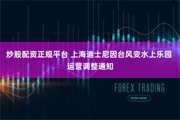 炒股配资正规平台 上海迪士尼因台风变水上乐园 运营调整通知